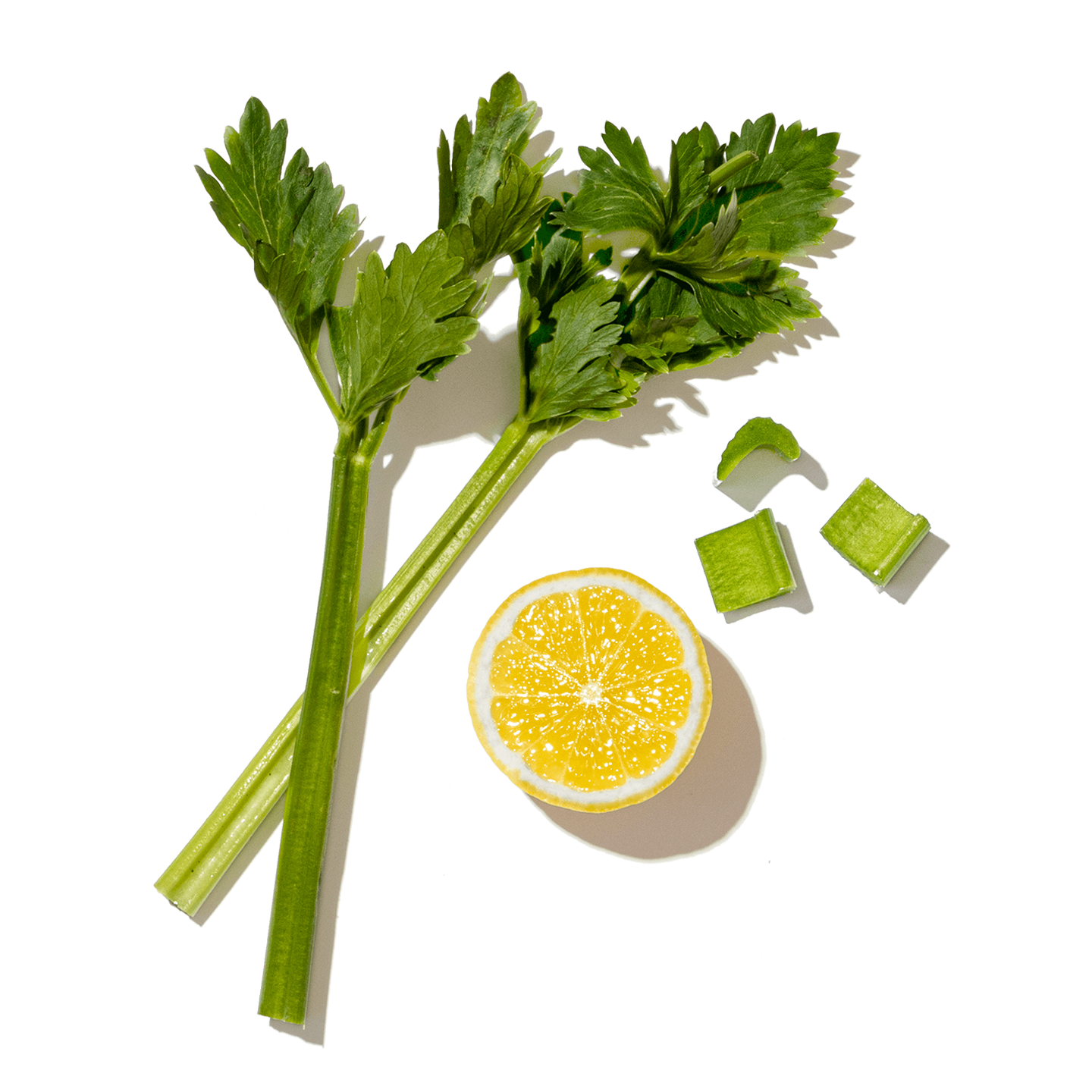 Parsley with lemon slices on a transparent background