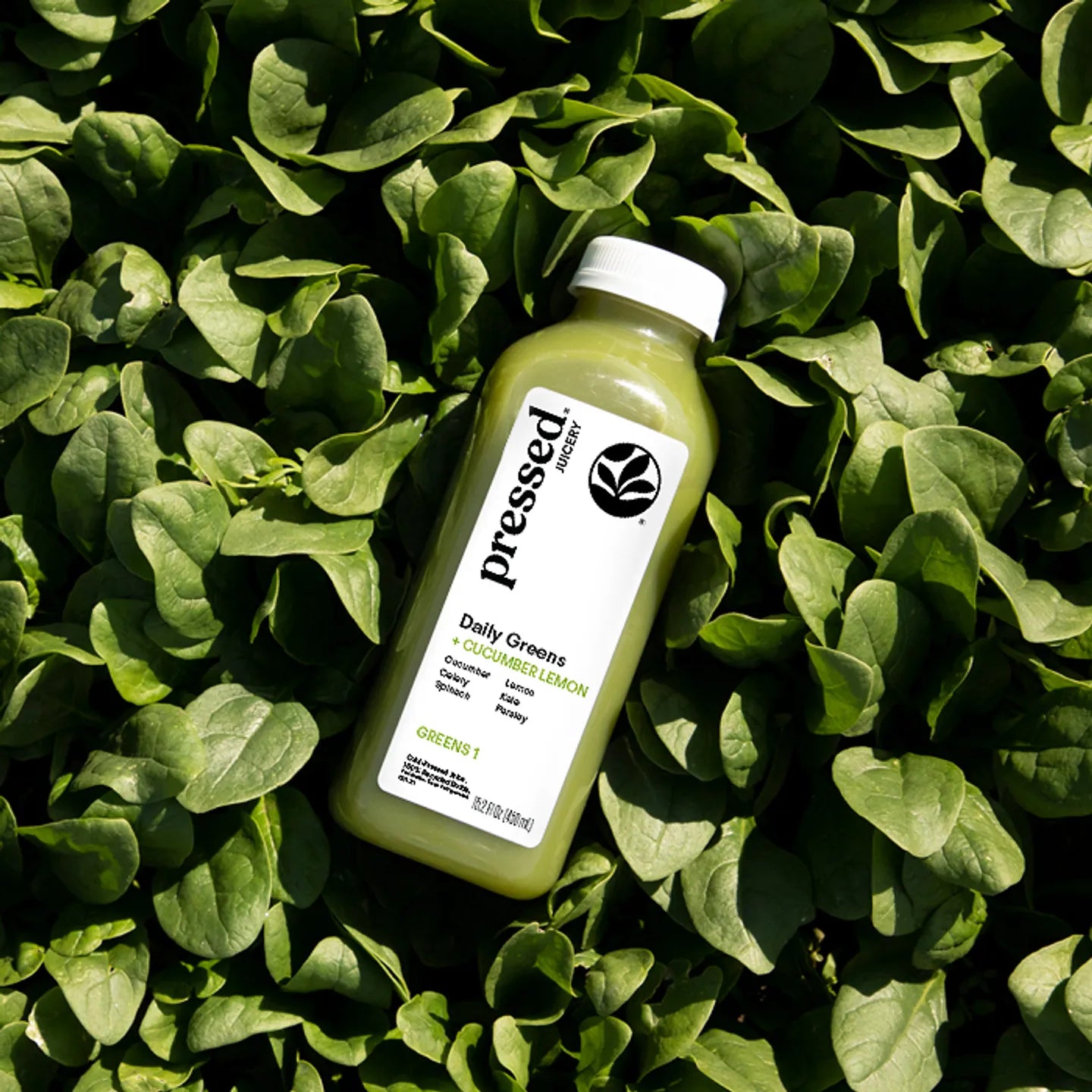 Bottle of 'Dressed' Daily Greens juice on a bed of green leaves