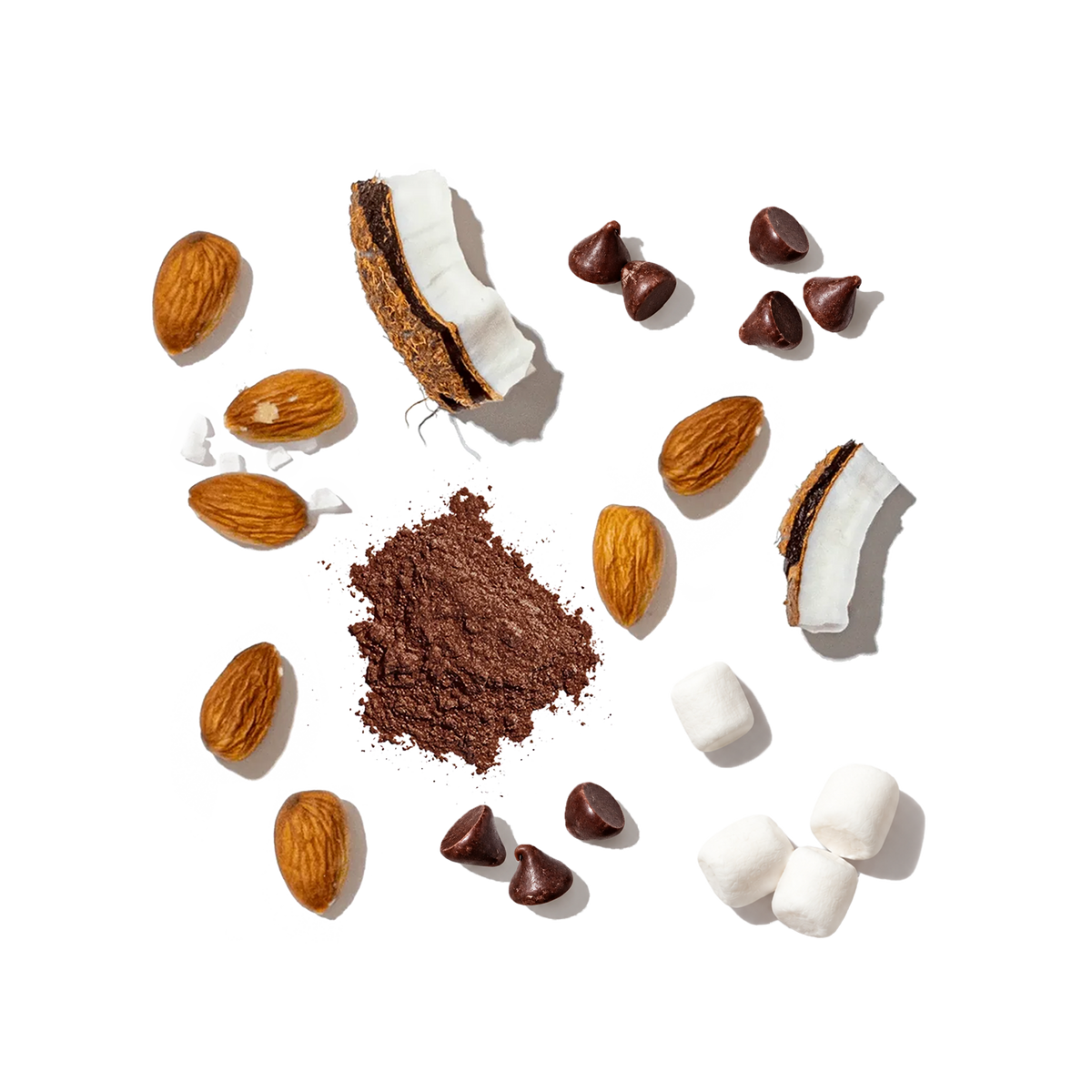 Pressed S'mores Sundae ingredients including almonds, coconut, cocoa powder, chocolate chips and mini marshmallows