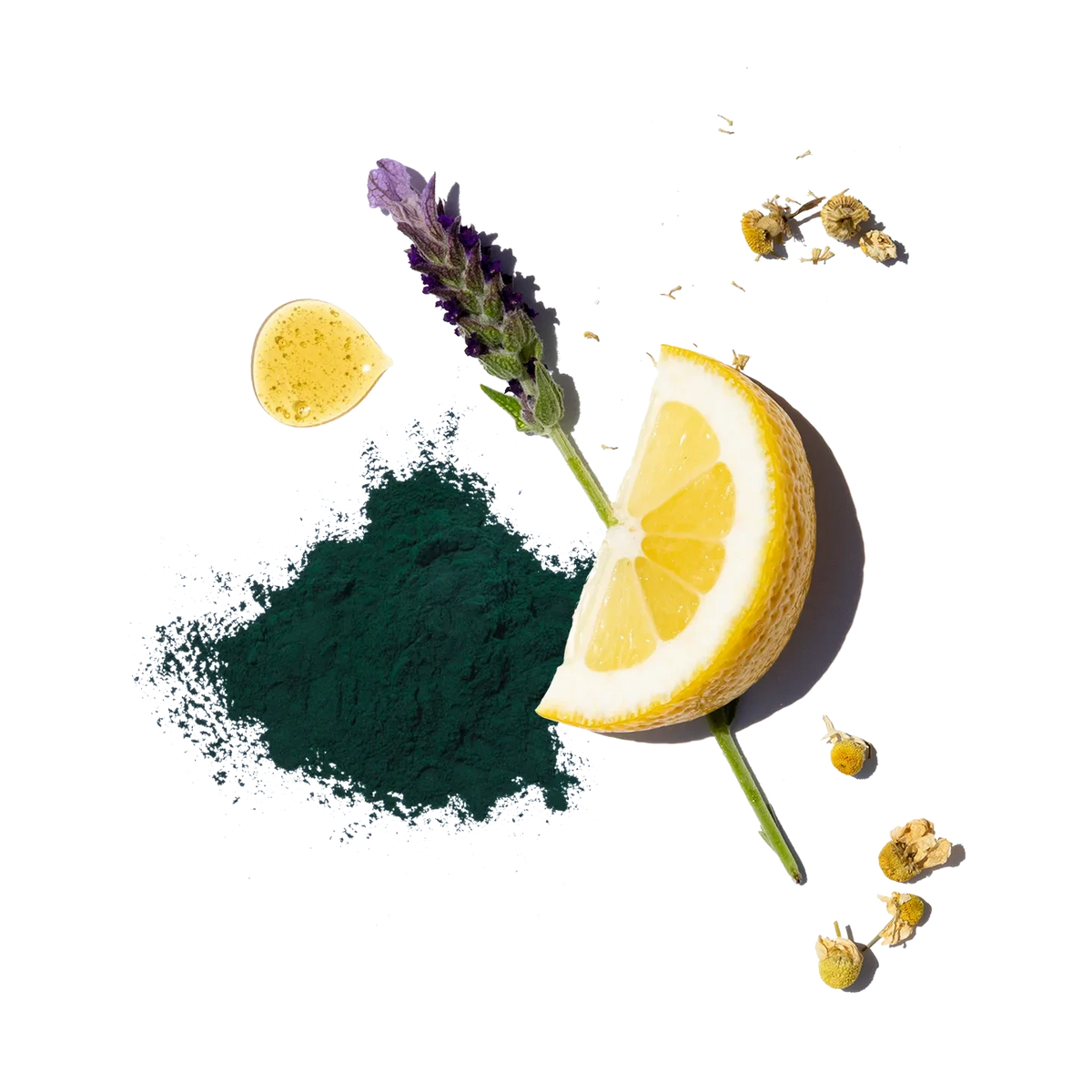 Lemon wedge with lavender and milk thistle on a transparent background to show ingredients in the Detox Tonic. 