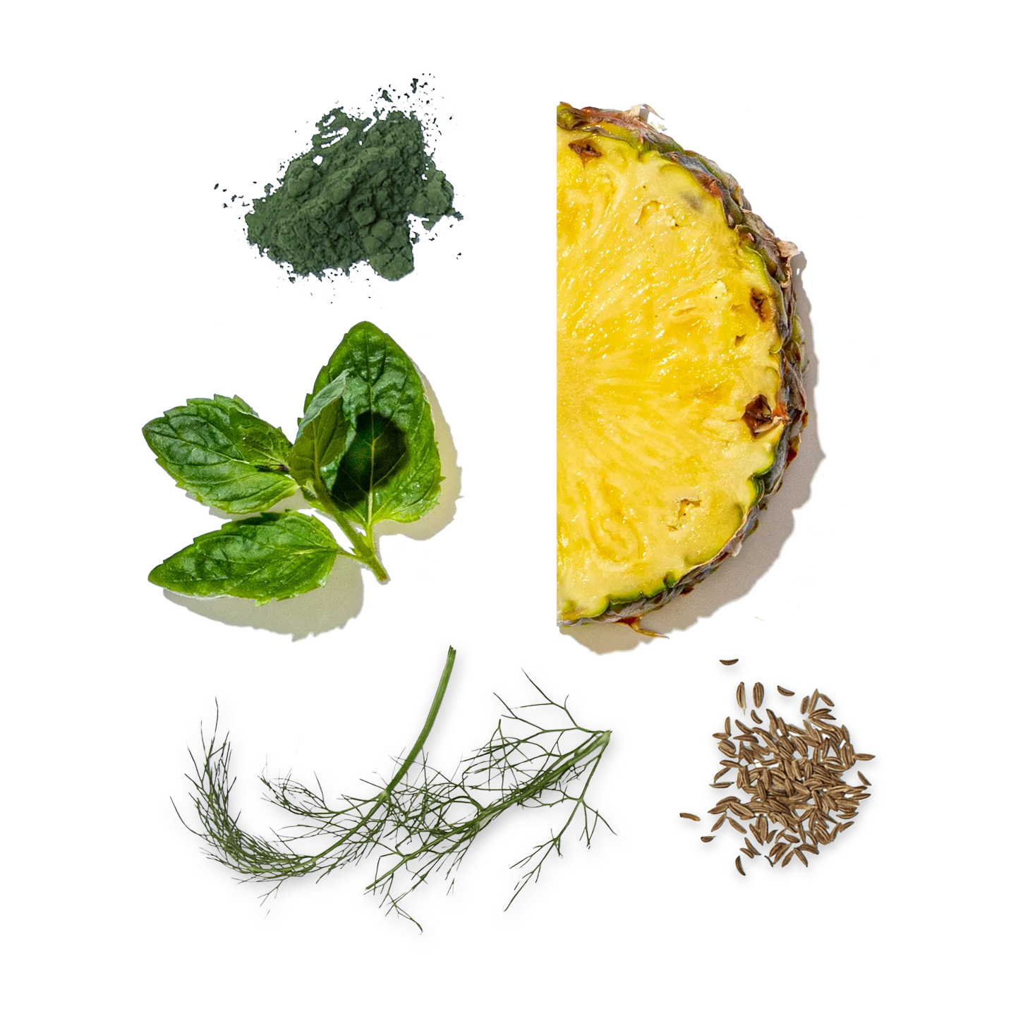 Pineapple, lemon, dill, cumin, and other herbs on a white background